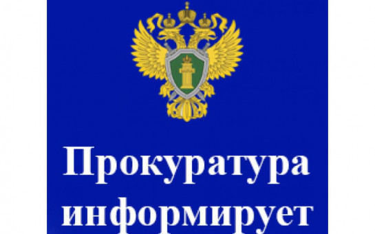 Состояние преступности на территории Венгеровского района Новосибирской области в 2024 году.